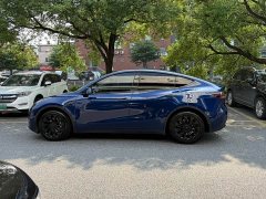 Tesla Model Y Long Range All-Wheel Drive 3D7 - ფოტო 6