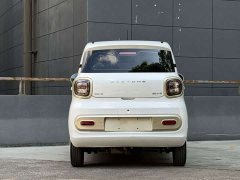 FAW Besturn Xiaoma 170km Vitality Edition - photo 6