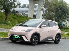 BYD Seagull Freedom Edition - ფოტო 1