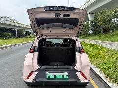 BYD Seagull Freedom Edition - ფოტო 16