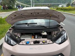 BYD Seagull Freedom Edition - ფოტო 17