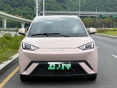 BYD Seagull Freedom Edition - ფოტო 2