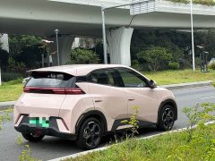 BYD Seagull Freedom Edition - ფოტო 4
