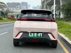 BYD Seagull Freedom Edition - ფოტო 5