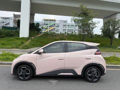 BYD Seagull Freedom Edition - ფოტო 7