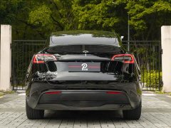 Tesla Model Y Rear-Wheel Drive - ფოტო 5