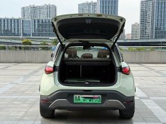 Smart #1 2022 Pulse Heartbeat Edition - ფოტო 9