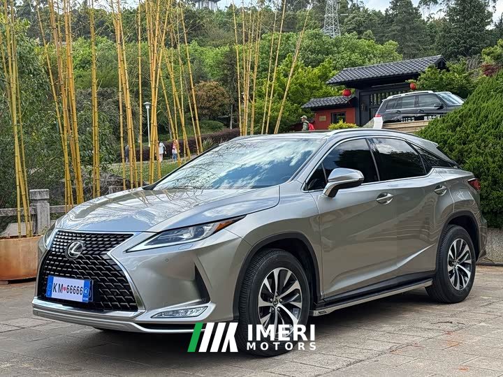 Lexus RX 2020 300 FWD Elite China VI - ავტომობილი ჩინეთიდან