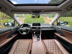 Lexus RX 2020 300 FWD Elite China VI - ფოტო 20