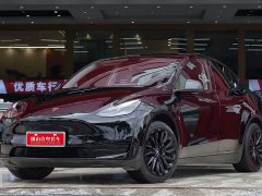 Tesla Model Y 2023 Rear-Wheel Drive - ფოტო 1
