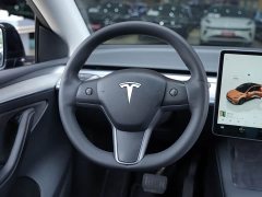 Tesla Model Y 2023 Rear-Wheel Drive - ფოტო 10