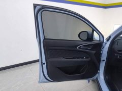 ORA Good Cat 400km Standard Range Luxury Ternary Lithium - ფოტო 7
