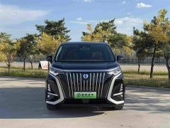 Denza BYD Denza D9 2022 EV 600 AWD Prestige - ფოტო 2