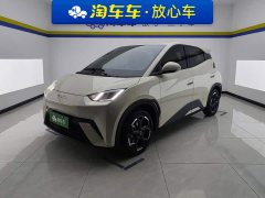 BYD Seagull 405km Flying Edition - ფოტო 1