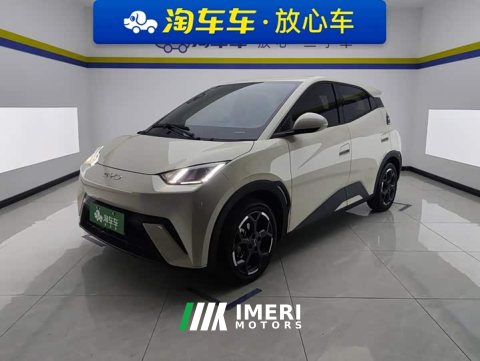2025 BYD Seagull 405km Flying Edition - ავტომობილი ჩინეთიდან