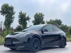 Tesla Model Y Rear-Wheel Drive - ფოტო 1
