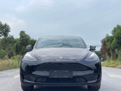 Tesla Model Y Rear-Wheel Drive - ფოტო 2