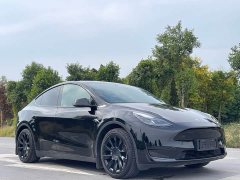 Tesla Model Y Rear-Wheel Drive - ფოტო 3