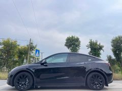 Tesla Model Y Rear-Wheel Drive - ფოტო 4