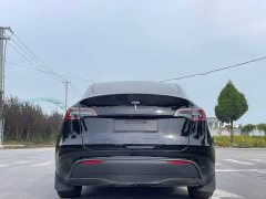 Tesla Model Y Rear-Wheel Drive - ფოტო 6