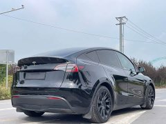 Tesla Model Y Rear-Wheel Drive - ფოტო 7