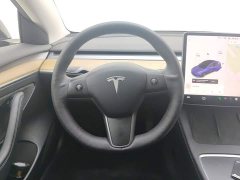 Tesla Model 3 Facelift Standard Range RWD Upgrade 3D1 - ფოტო 15