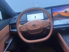 Volkswagen eπ007 Extended Range 200 Ruoyi Edition - ფოტო 15
