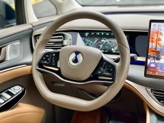 Denza D9 2022 DM-i 970 AWD Flagship - ფოტო 17