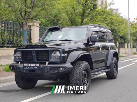 2024 Tank 300 2023 2.0T Iron Cavalry 02 - ავტომობილი ჩინეთიდან