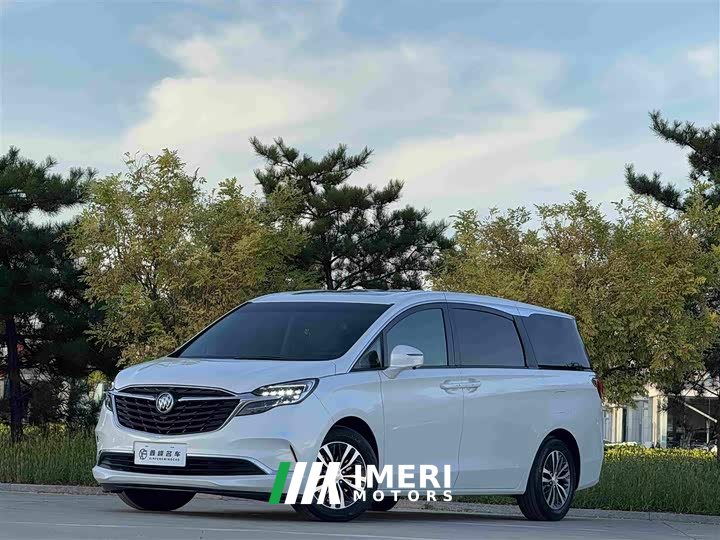 Buick GL8 ES Luxe 653T Comfort - ავტომობილი ჩინეთიდან
