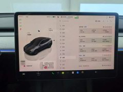 Tesla Model Y Rear-Wheel Drive - ფოტო 14