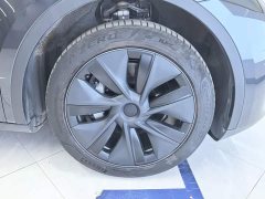 Tesla Model Y Rear-Wheel Drive - ფოტო 6