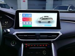 Maxus G50 2023 PLUS 1.5T Happiness Recommended Automatic Cruise Edition - ფოტო 13