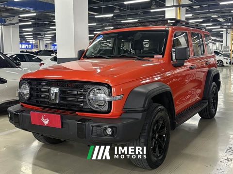 2023 Tank 300 Off-Road Edition 2.0T Challenger - ავტომობილი ჩინეთიდან
