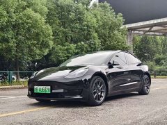 Tesla Model 3 Rear-Wheel Drive - ფოტო 1