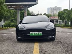 Tesla Model 3 Rear-Wheel Drive - ფოტო 2