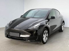 Tesla Model Y Rear-Wheel Drive - ფოტო 1