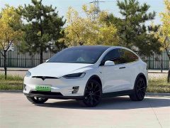 Tesla Model X 2020 Long Range Plus - ფოტო 1