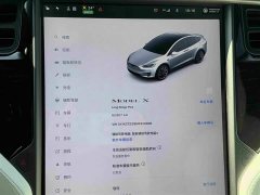 Tesla Model X 2020 Long Range Plus - ფოტო 19