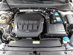 Volkswagen Magotan 330TSI DSG 30th Anniversary Edition - ფოტო 10