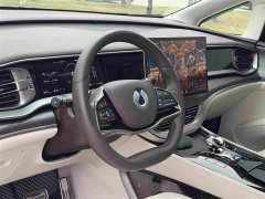 Denza BYD Denza D9 DM-i Smart Drive 1020 AWD Premium - ფოტო 11