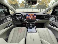 Denza BYD Denza D9 DM-i Smart Drive 1020 AWD Premium - ფოტო 6