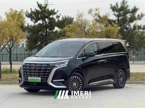 2024 Denza BYD Denza D9 DM-i 980 Four-Wheel Drive Premium - ავტომობილი ჩინეთიდან