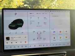 Li Auto L9 2022 Max - ფოტო 8