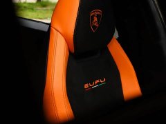 Lamborghini Urus 4.0T V8 - ფოტო 16