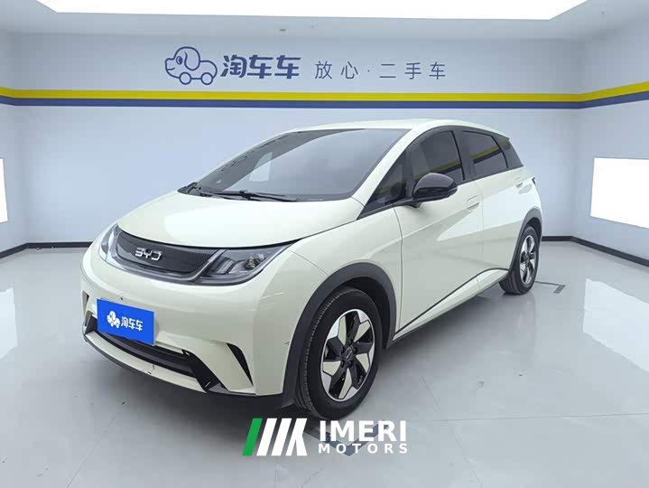 BYD Dolphin 420km Freedom Edition - ავტომობილი ჩინეთიდან