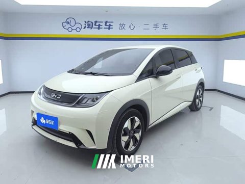 2025 BYD Dolphin 420km Freedom Edition - ავტომობილი ჩინეთიდან