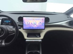 BYD Dolphin 420km Freedom Edition - ფოტო 13