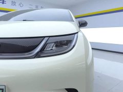 BYD Dolphin 420km Freedom Edition - ფოტო 5