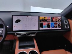 Li Auto L6 Pro - ფოტო 13